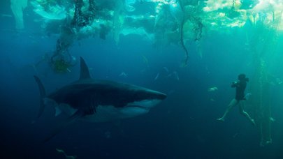 Vervolg op Under Paris lijkt in de maak, opnames mogelijk al gestart