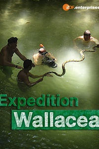 Wallacea Expedition zur Wiege der Meeresfauna