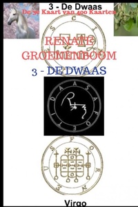 3 - De Dwaas