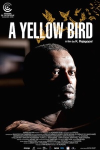 A Yellow Bird
