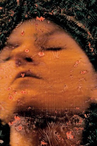 sweet dreams, see you tomorrow