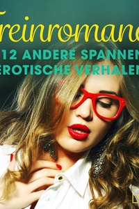 Treinromance en 12 andere spannende erotische verhalent