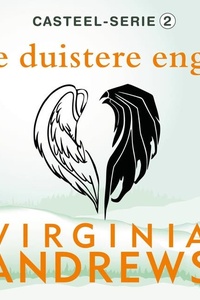 De duistere engel
