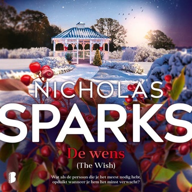 De wens: (The Wish) Wat als de persoon die je het meest nodig hebt, opduikt wanneer je hem het minst verwacht?