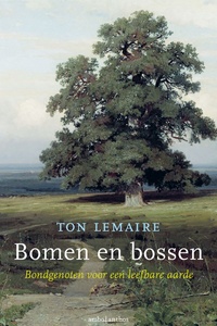 Bomen en bossen
