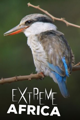 Extreme Africa