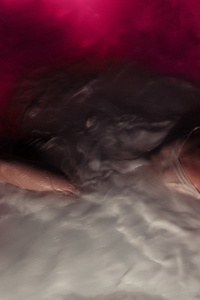 FLOWERS for VASES / descansos