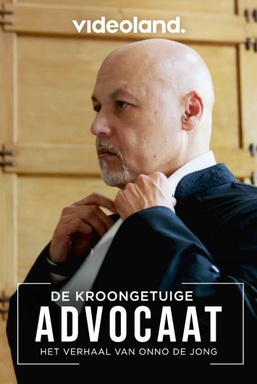 De Kroongetuigeadvocaat: Het Verhaal van Onno de Jong