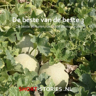 De beste van de beste 3: De beste verhalen, de beste stemacteurs