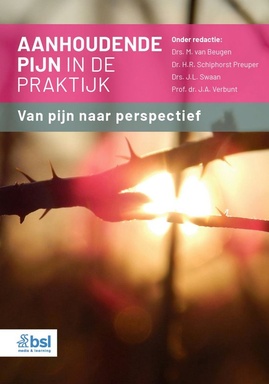 Dutch language eBook collection - Aanhoudende pijn in de praktijk