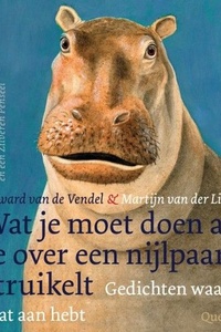 Wat je moet doen als je over een nijlpaard struikelt