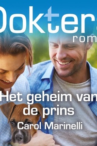 Het geheim van de prins