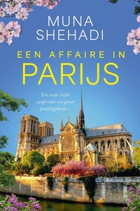Een affaire in Parijs