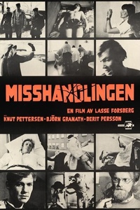 Misshandlingen