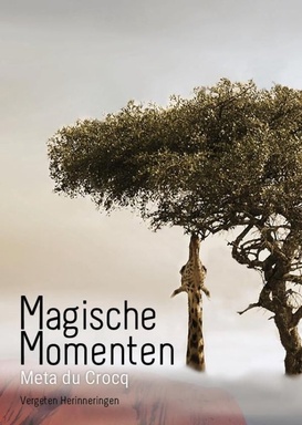 Vergeten Herinneringen 2 - Magische Momenten