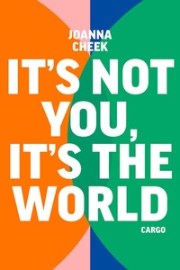 It's not you, it's the world: Een overlevingsgids voor een wereld die in brand staat