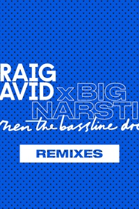 When the Bassline Drops (Remixes)