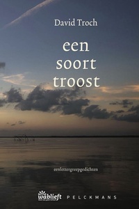 een soort troost