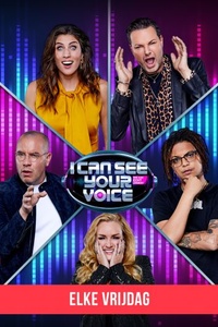 I Can See Your Voice