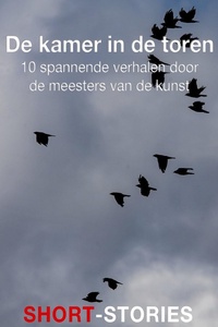 De kamer in de toren