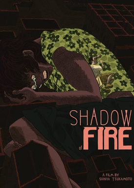 Shadow of Fire