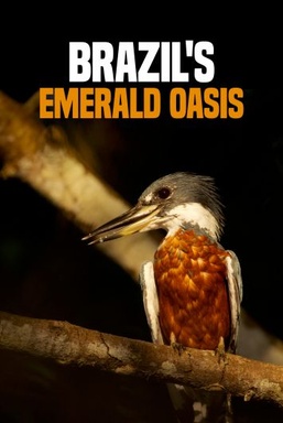 Brazil's Emerald Oasis