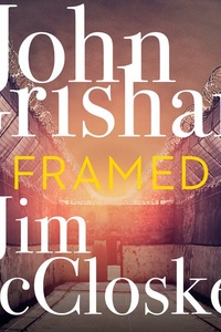 Framed: Waargebeurde verhalen van corruptie, machtsmisbruik, racisme en wangedrag binnen het Amerikaanse strafrechtsysteem.