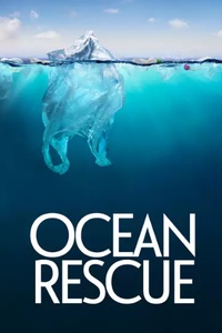 Ocean rescue