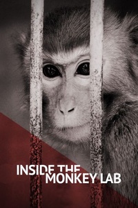 Inside the Monkey Lab