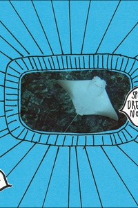 Spoon Dreams Nothing