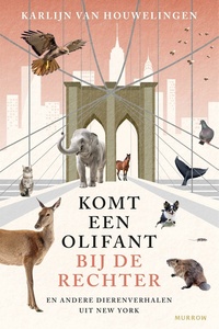 Komt een olifant bij de rechter