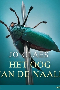 Het oog van de naald