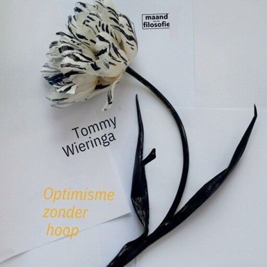 Optimisme zonder hoop