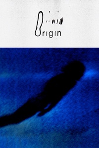 Origin