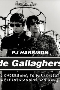 De Gallaghers: De ondergang en miraculeuze wederopstanding van Oasis