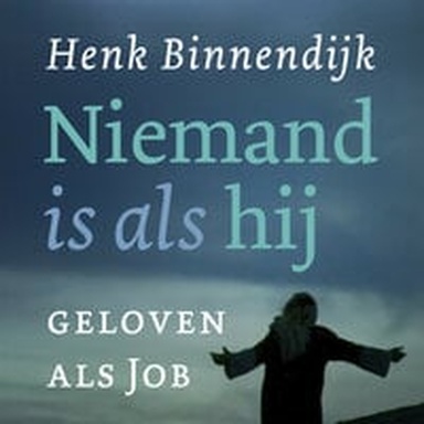 Niemand is als hij: Geloven als Job