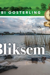Bliksem