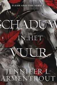 Schaduw in het vuur 1