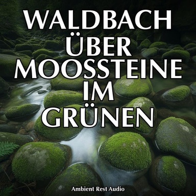 Waldbach über Moossteine im Grünen: 3 Stunden Plätscherndes Bachwasser und Frühlingsvogelstimmen im Wald