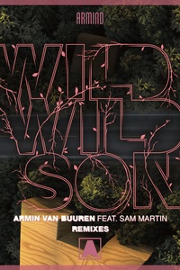 Wild Wild Son (Remixes)