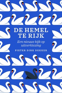 De hemel te rijk