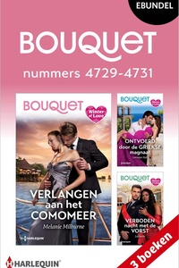 Bouquet e-bundel nummers 4729 - 4731