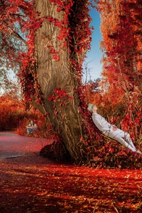 Flowers That Don't Exist