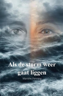 Als de storm weer gaat liggen