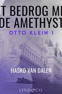 Het bedrog met de amethyst - een Weense privédetective