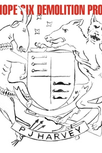 The Hope Six Demolition Project