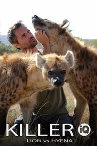 Killer IQ: Lion vs. Hyena