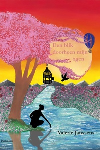 Een blik doorheen mijn ogen