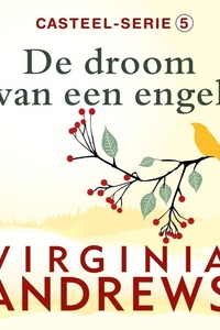De droom van een engel