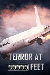 Terror At 30.000 Feet